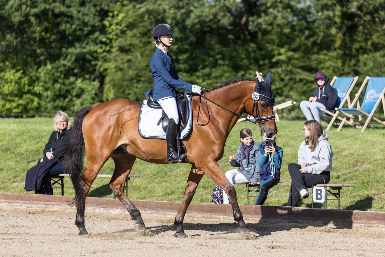 Bild 183 - Pony Akademie Turnier